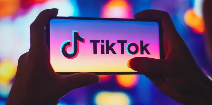 TikTok telefono logotipas